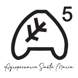 agropecaria-santa-maria.png